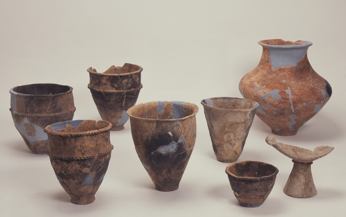 縄文時代から弥生時代へ 日本列島における食伝統の継続性を解明 | NEWSCAST