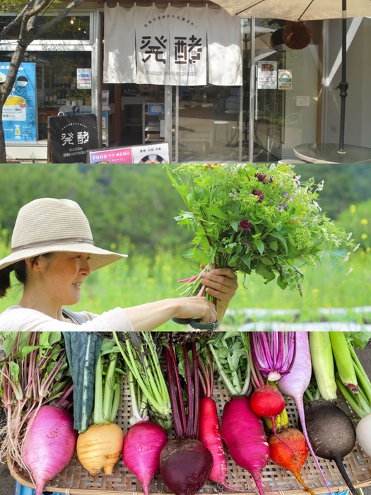 発酵デパートメント/lala farm table/小山農園