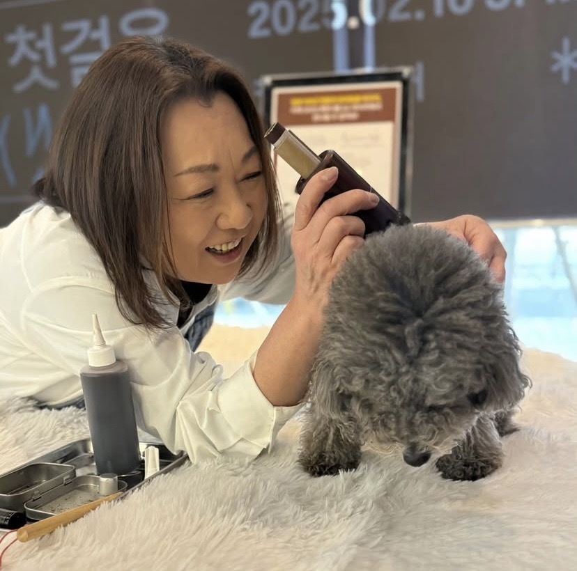 わんこのおきゅうIN韓国