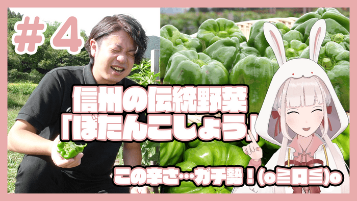 信州の伝統野菜「ぼたんこしょう」。この辛さ…ガチ勢