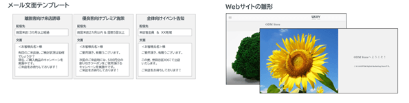 メール配信文面、Webサイトの雛形の提供