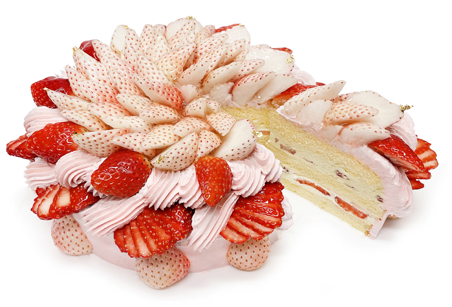 カフェコムサは毎月22日がショートケーキの日 2月は 白いちご と おすすめのいちご を使用した限定デザインのショートケーキを発売 Newscast