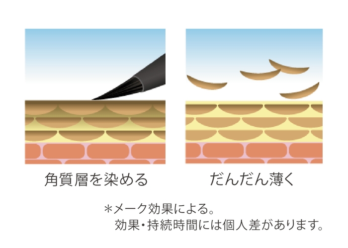 染まるしくみ