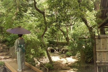 【都立9庭園】和傘で庭園めぐり　7月11日（土）～９月27日（日）