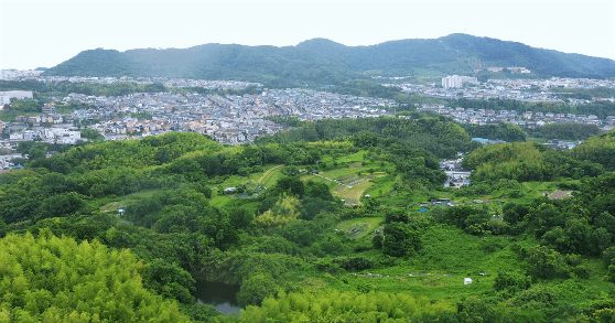 多井畑西地区