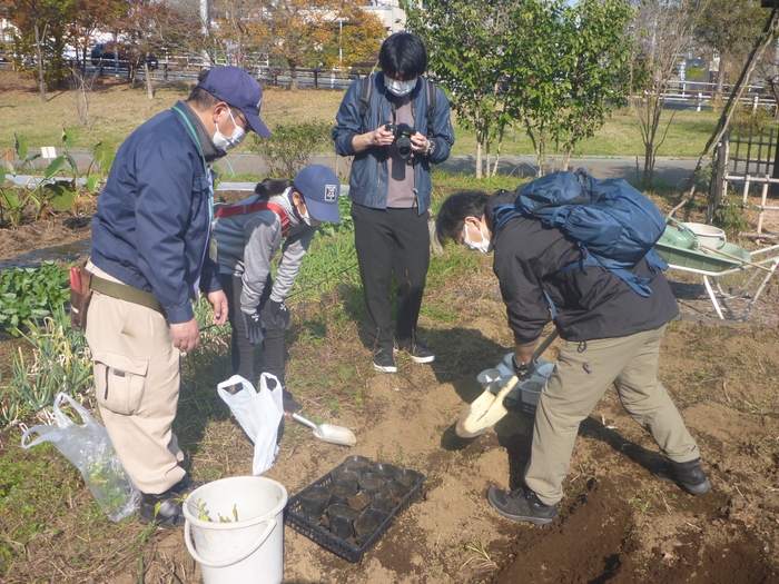 苗を植える鉢に土を入れます。ちょっと力がいるかな？