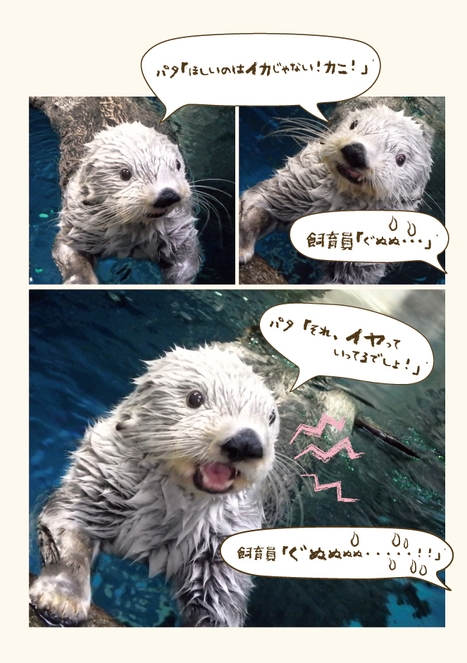 飼育員の心の声(掲載写真)