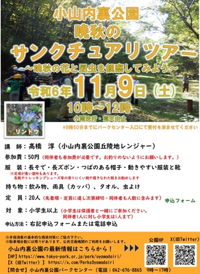 チラシ
