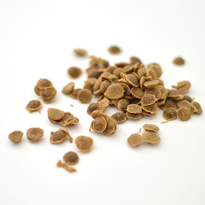 Yum Yum Yum! シニア＆ライト チキン やわらかドライタイプ　粒画像