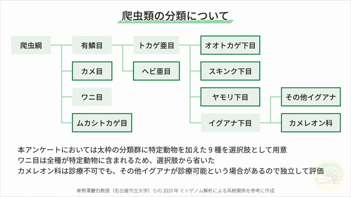 図9 爬虫類の分類について