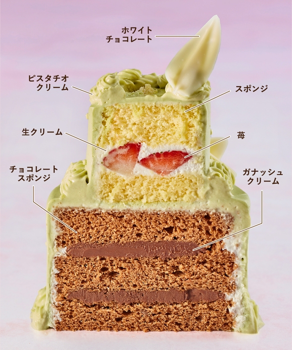 マリアージュ フェアリーピスタチオ断面