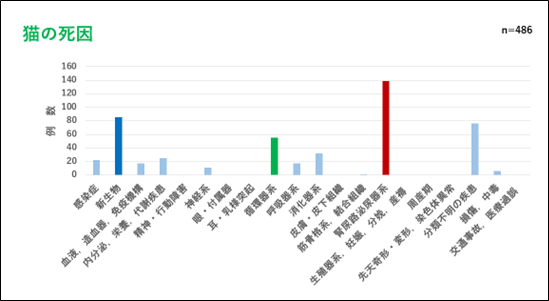 猫の死因