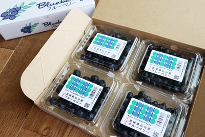 120g4個パック