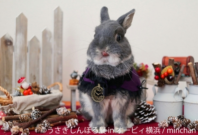 展示作品3