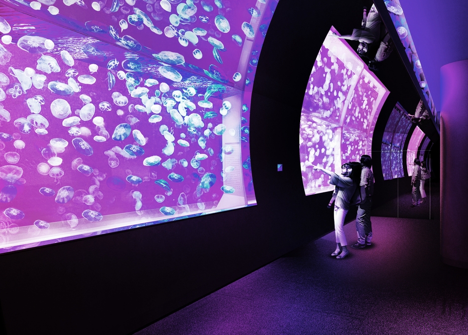 クラゲ水槽(夜) ※画像はイメージです。