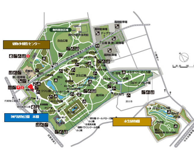 神代植物公園地図