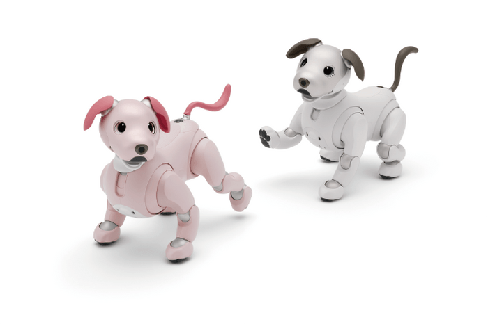 aibo いちごミルクエディション(左)とアイボリーホワイト(右)