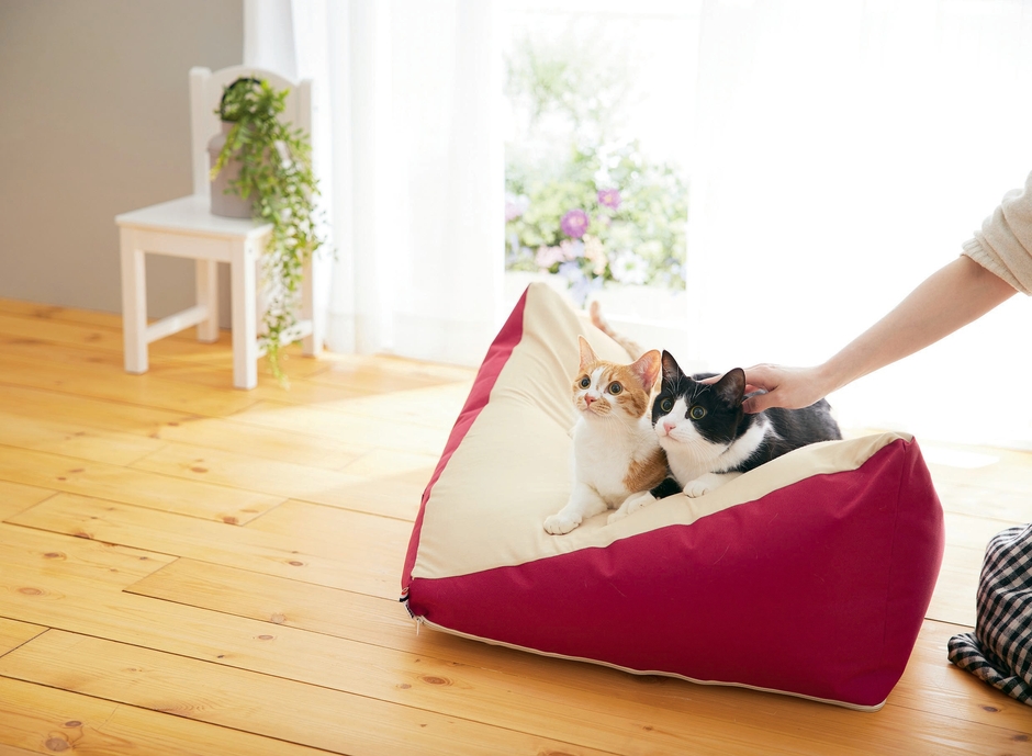 Sippoleもっちりビーズクッション―ちょうどいいうずもれ感に猫がとろける!