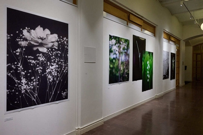 2025年夏にストックホルムで開催された共同写真展「FLOWER展」の会場の様子