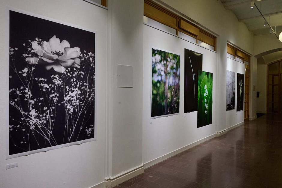 2025年夏にストックホルムで開催された共同写真展「FLOWER展」の会場の様子