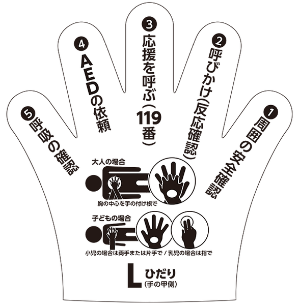 左手側 - 心肺蘇生法の手順