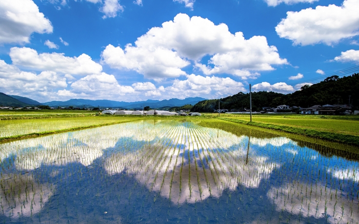 田園風景はリオオリンピック会場に展示されました