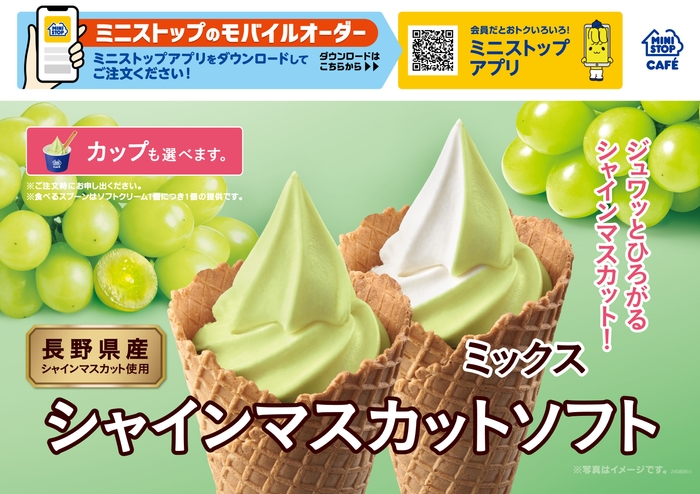 シャインマスカットソフト販促物(画像はイメージです。)