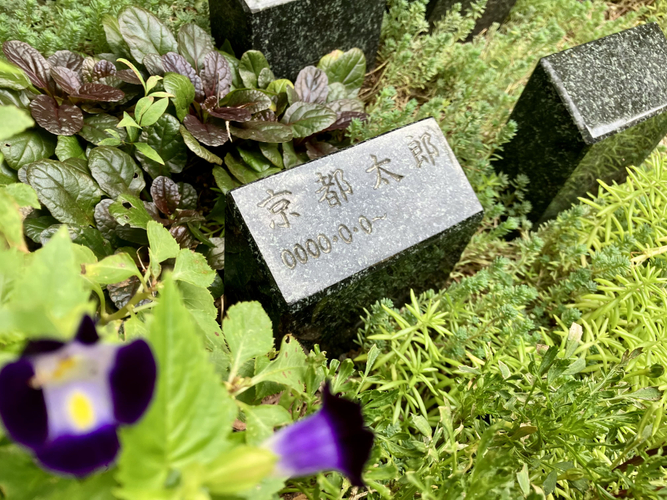 樹木葬の1名用区画の墓標