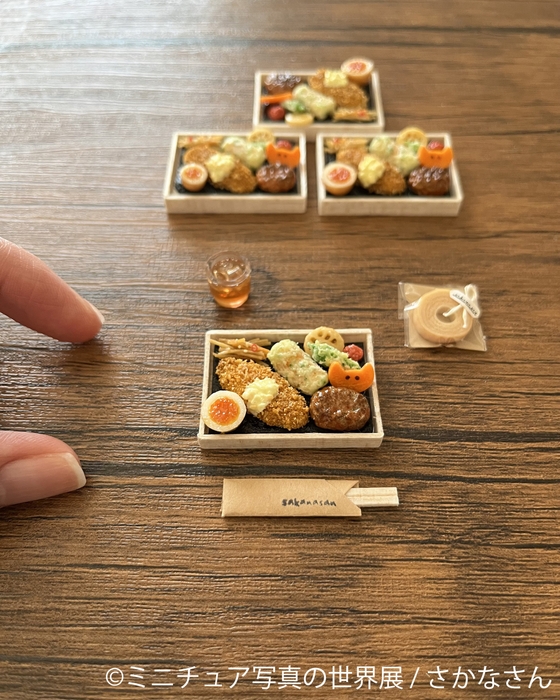 ミニチュア写真の世界展 グッズ:さかなさん