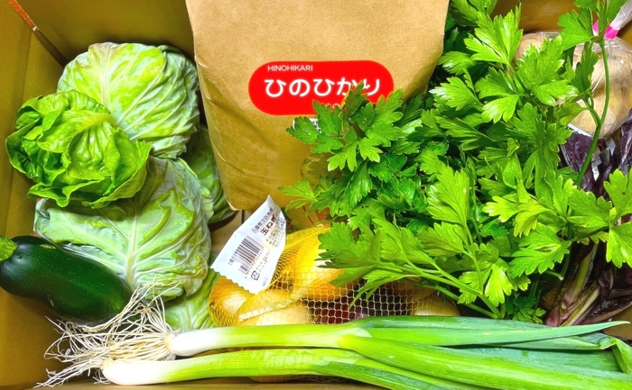 返礼品事例1)淡路島のお米&季節のお野菜お楽しみセット