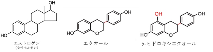 エクオールおよび5-ヒドロキシエクオールについて