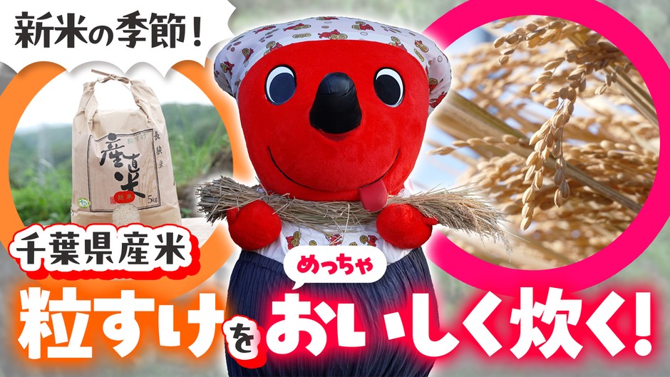 粒すけ動画サムネイル