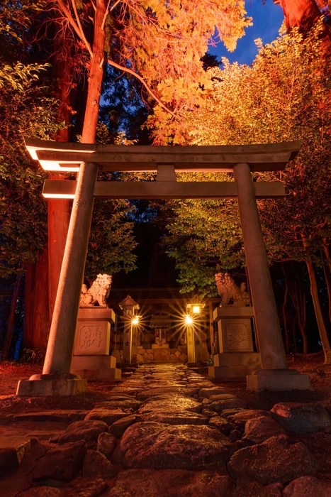 境内ライトアップ