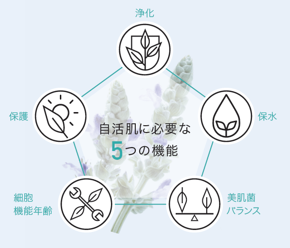 自活肌に必要な5つの機能