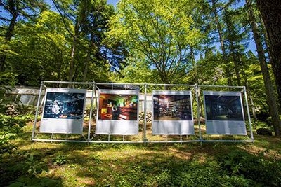 野外写真展の様子(六甲高山植物園)