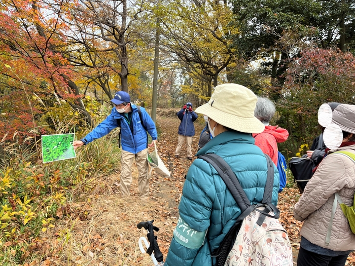 ところどころ植物の解説が入ります