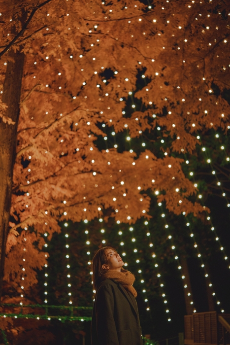 煌めくメタセコイアの幻想的な空間