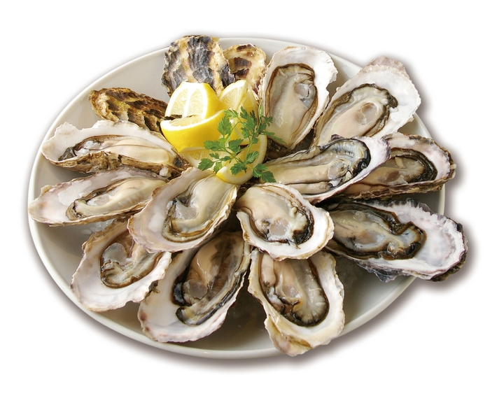 生牡蠣食べ放題イメージ