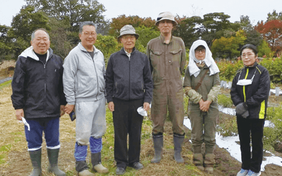 栽培方法や生産者の顔がわかる100%国産の紫根※1を使用(1)
