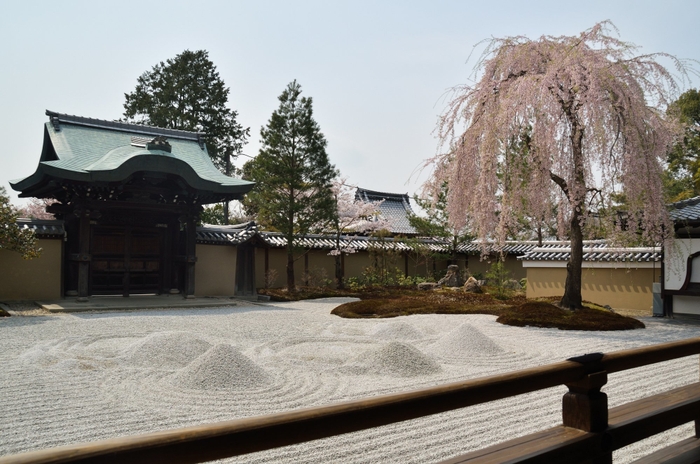 早朝拝観・散策「高台寺」(1)