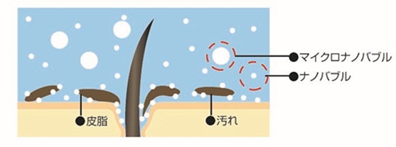 毛根