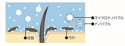 毛根