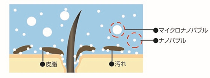 毛根