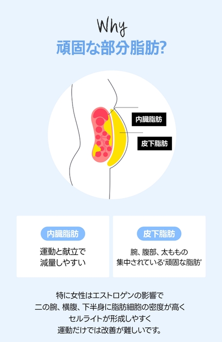 イメージ4