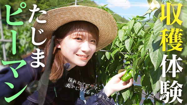 ＹｏｕＴｕｂｅ番組「ゆるふわたいむ」