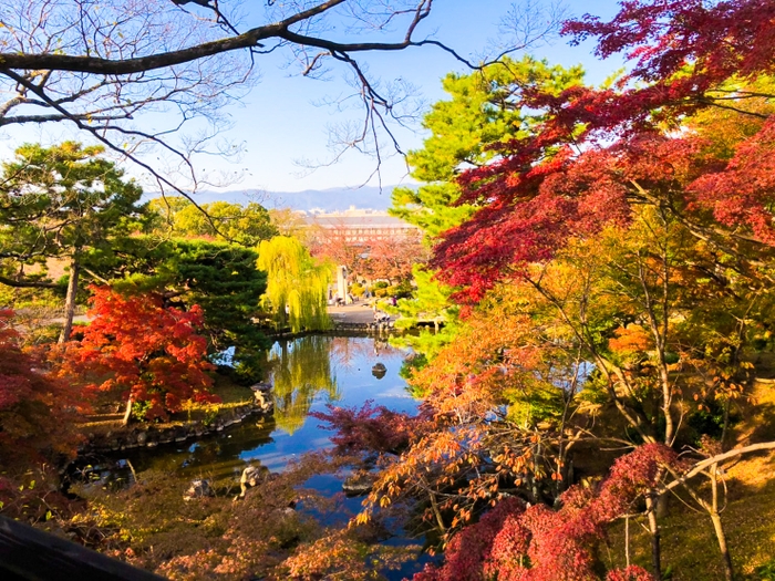 eXcafe祇園八坂の店内から見た紅葉の景色