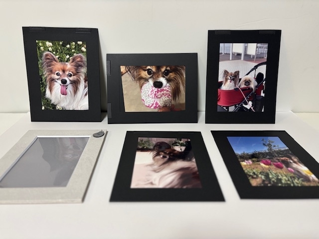 フォトフレーム+マグネット台紙5枚