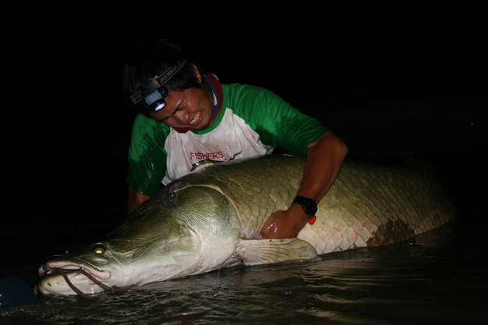 小塚拓矢　怪魚　旅
