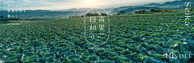 デリカフーズホールディングスグループが いよいよB to C事業を本格展開　 「青果日和」ブランドの野菜BOXを ECサイトで販売開始！！