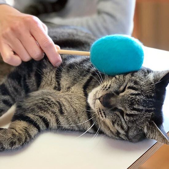 ネコトントン 1,980円(税込)